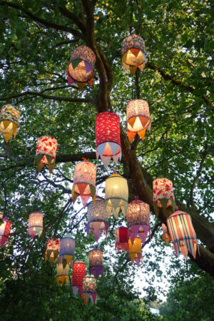 Ciné plein air au Port Boyer © ACE